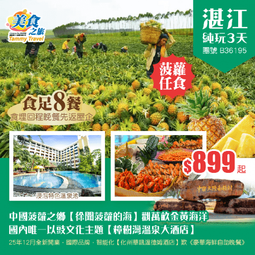 中國菠蘿之鄉【徐聞菠蘿的海】觀萬畝金黃海洋、 國內唯一以豉文化主題【樟樹灣溫泉大酒店】、 25年12月全新開業·國際品牌·智能化【化州華訊溫德姆酒店】歎《豪華海鮮自助晚餐》 純玩3天(美食之旅 旅行團)