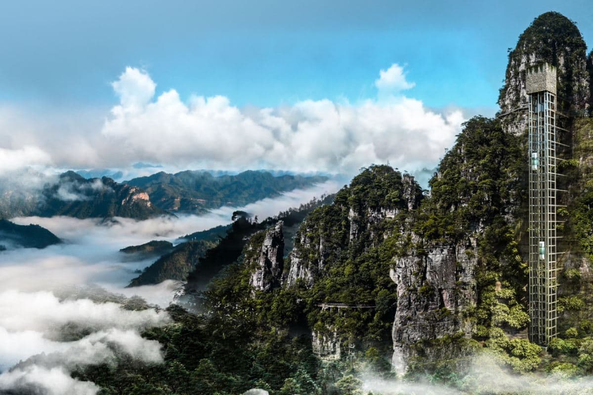 《梧州老虎主題酒店+高鐵》保證入住老虎主題~平南雄景生態酒店「雄森動物大世界」、千姿百態「大瑤山盤王界」【御品養生金桔宴】【龔州黑松露燒鵝宴】平南金秀美景純玩3天團（永安旅遊 旅行團）