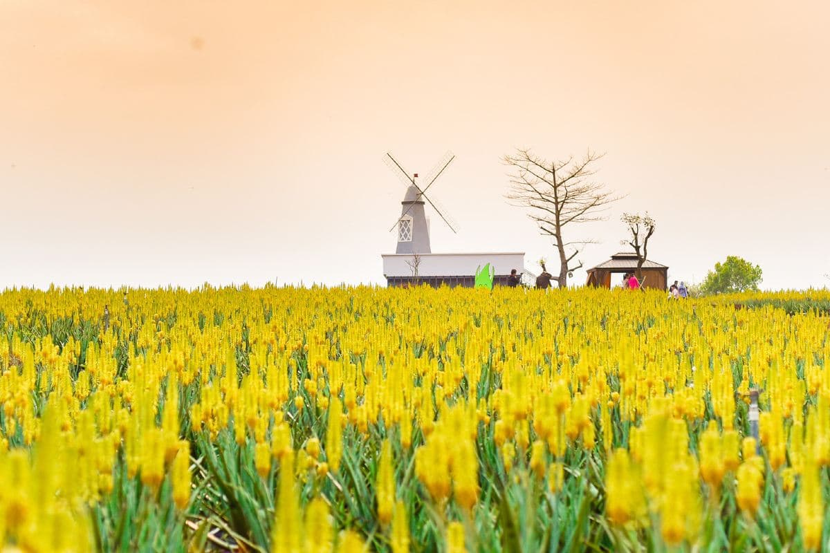 《暖暖溫泉+釣蝦樂+中國的蘆薈普羅旺斯+去程直航船》保證入住江門亞洲福永溫泉酒店(豪華露台客房) 【濃湯乾坤豬肚荷包翅+(位上)過橋東星斑】【15年新會陳皮燉水鴨+台山生蠔宴】江門溫泉純玩2天團（永安旅遊 旅行團）