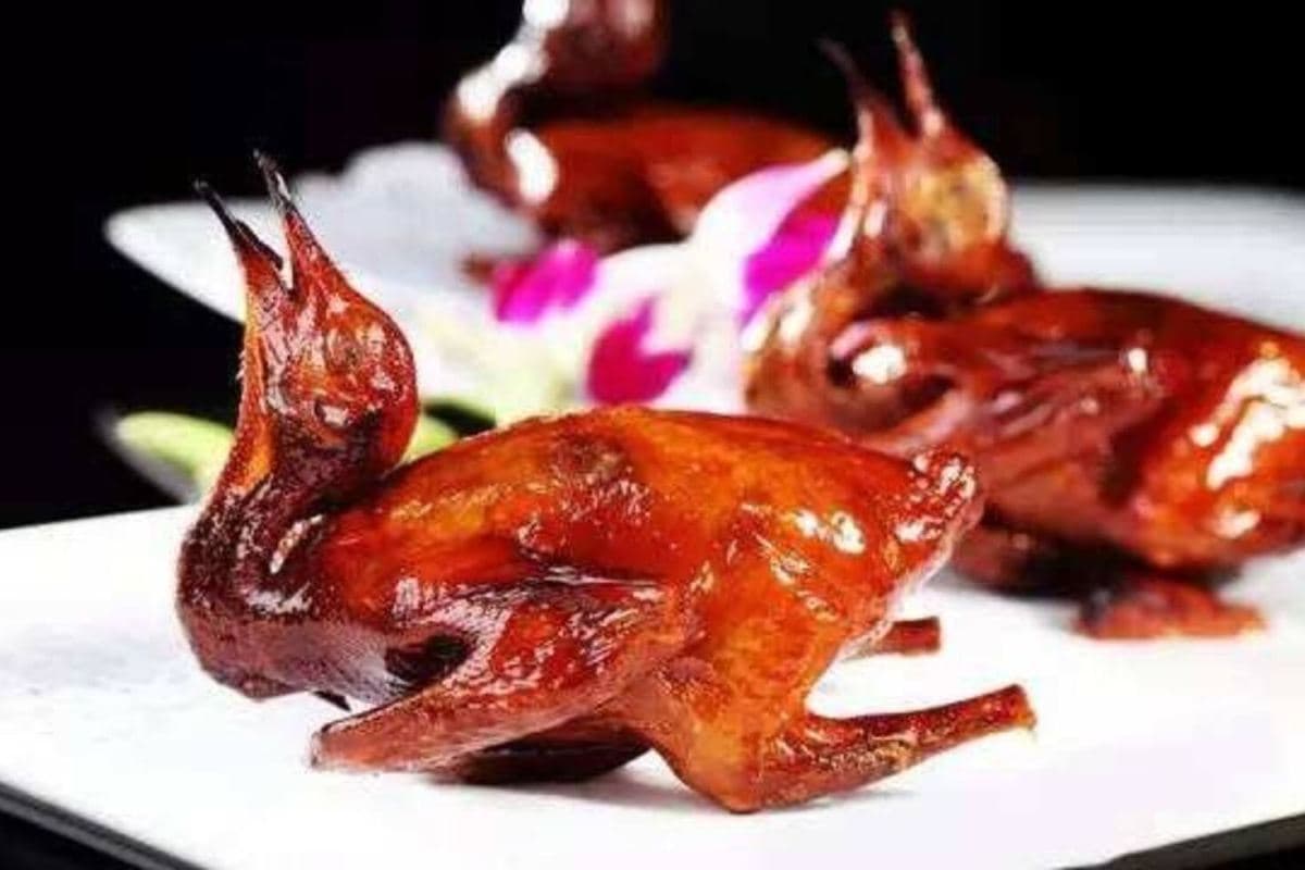 中山2天團·《中山快閃》「孫文西路步行街」中山“小天壇”品嚐【生炸爆汁妙齡乳鴿(每位半隻)+鮑魚七彩撈雞宴】（永安旅遊 旅行團）