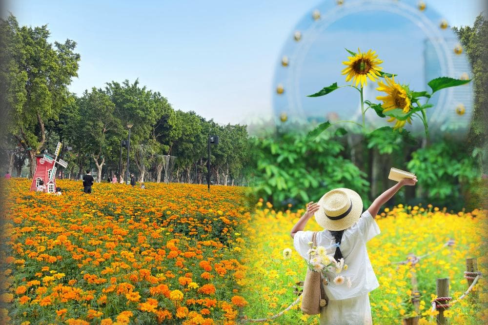 〝把握現在賞花好時機 ‧ 五大私房菜推介〞佛山、中山純玩3天（東瀛遊 旅行團）