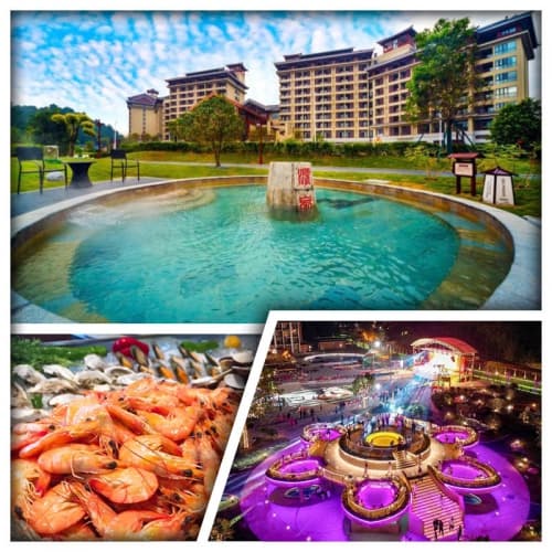 新興翔順金水台溫泉小鎮 任浸三料蓮花溫泉 位上長白山人參燉花膠 紅燒石歧乳鴿純玩2天（關鍵旅遊 旅行團）