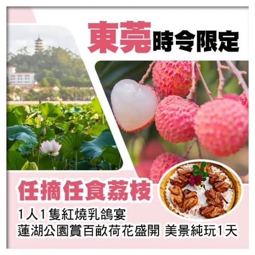 東莞任摘任食荔枝、1人1隻紅燒乳鴿宴、蓮湖公園賞百畝荷花純玩1天（關鍵旅遊 旅行團）