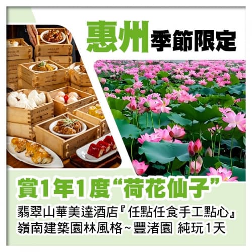 賞1年1度清麗脫俗-荷花仙子 翡翠山華美達酒店【任點任食手工點心】 純玩1天（關鍵旅遊 旅行團）