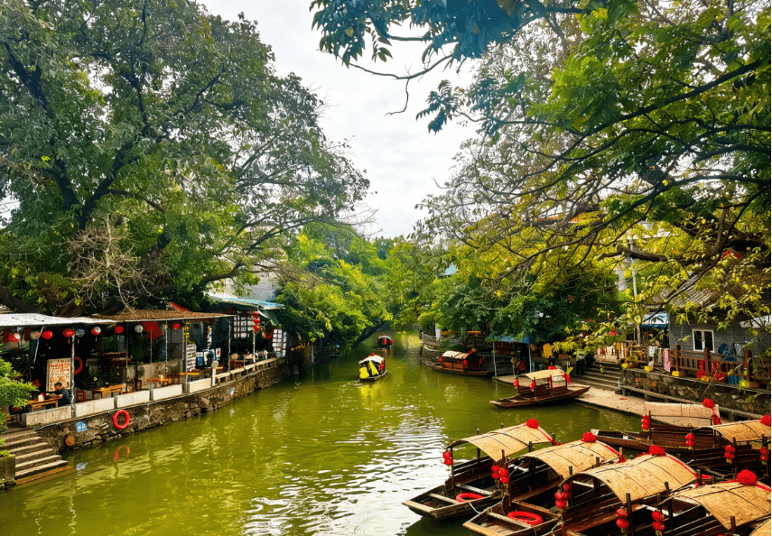 尋味順德美食《雀巢鮮奶盞+順德拆魚羹宴》《順德炸云吞+至尊燒鵝宴》《位上功夫魚湯+九五至尊龍船宴》純玩2天團（星晨旅遊 旅行團）