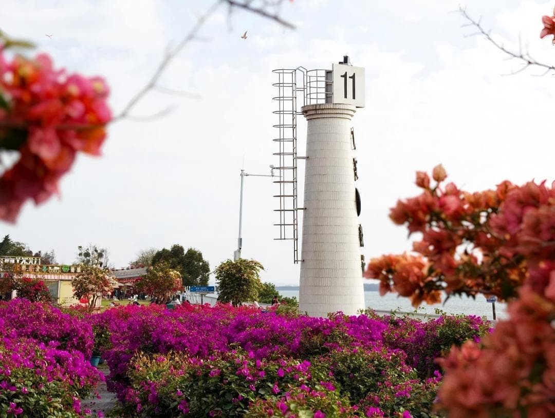 尋味中山美食《位上花膠湯+紅燒乳鴿宴》《美味園金獎脆肉鯇魚+燒鵝宴》《位上養生翅魚肚羹+鹽焗水鴨宴》純玩2天團（星晨旅遊 旅行團）